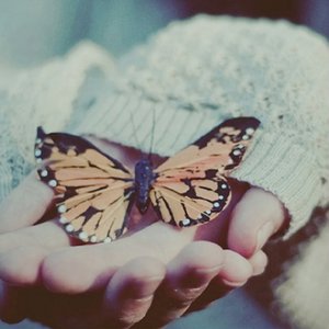 非洲女人ZOZ0性伦交
