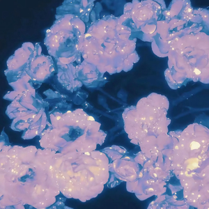 非洲女人ZOZ0性伦交
